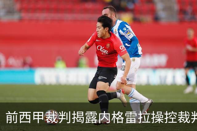 前西甲裁判揭露内格雷拉操控裁判选拔背后的真相